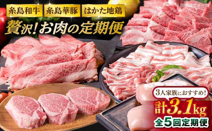 美味しさ 満載 ！ 贅沢 お肉 セット の 定期便 全5回（月1回） 3人 家族用 【福岡 糸島産 牛肉 豚肉 鶏肉 ステーキ しゃぶしゃぶ すき焼き ヒレ シャトーブリアン ロース 】 糸島 / 糸島ミートデリ工房 [ACA084] 定期便 博多 和牛 すき焼き 定期便 切り落とし しゃぶしゃぶ ステーキ 焼肉 赤身 黒毛和牛 国産