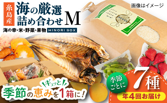 【全4回定期便】糸島産 魚 米 野菜 果物 厳選詰め合わせ MINORI BOX Mサイズ【季節ごとに年4回お届け】 糸島市 / emma.Inc / 米 魚 野菜 果物 詰め合わせ [AOP005] 米 こめ 魚 さかな 野菜 やさい 果物 くだもの 糸島 詰め合わせ MINOR