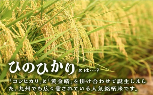 【2024年11月以降順次発送】糸島産 ひのひかり 20kg 糸島市 / 三島商店 [AIM075]