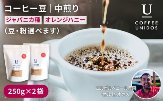 中煎り コーヒー 豆 250g × 2袋 （ 豆 ・ 粉 選べます ） ニカラグア産 エルポルベニール農園 ジャバニカ種 オレンジハニー 《糸島》 【COFFEE UNIDOS】 [AQF005]