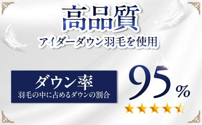 【糸島羽毛ふとん】【アイスランド特別保護鳥使用】【セミダブル】 羽毛 布団 本掛け ベージュ アイダーダウン95% 糸島市 / 株式会社三樹 / 布団 羽毛 [AYM024]