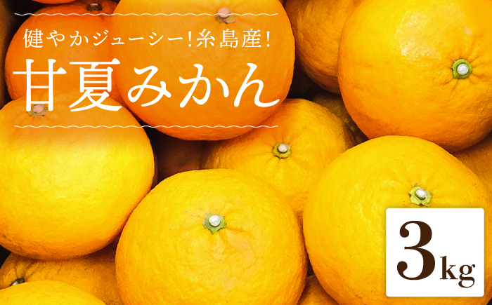 健やかジューシー・夏の味 糸島産甘夏みかんM〜L玉・約3kg  二丈赤米産直センター [ABB008]