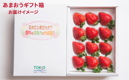 【先行予約】糸島産 あまおう ギフト 箱 ( 12-15粒 ) 【2024年12月上旬以降順次発送】 《糸島》【南国フルーツ株式会社】 [AIK010]