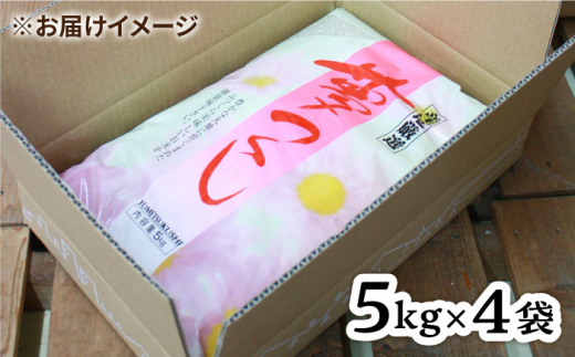 糸島産 夢つくし 20kg 糸島市 / 三島商店 [AIM074]