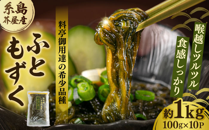 糸島産ふともずく（ソウメンノリ）100ｇ×10P　糸島市 / 糸島漁業協同組合芥屋支所 モズク 海藻 [AHR002]