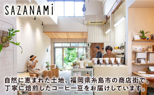 コーヒー豆 3種類 (豆または粉)  糸島市 /COFFEE SAZANAMi [ADN004] コーヒー豆 ドリップコーヒー