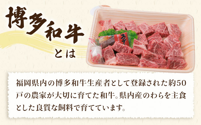 【人気セット】A4ランク 博多 和牛 ヒレ肉 サイコロ ステーキ 300g / 博多和牛と糸島華豚入り手作り生ハンバーグ 130g × 3個 《糸島》 【糸島ミートデリ工房】 [ACA052] 国産 冷凍 ランキング 上位 人気 おすすめ