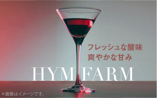 糸島産 ブルーベリー ＆ ブラックベリー ワイン 720ml×2種 セット 糸島市 / HYM FARM [AHM001]