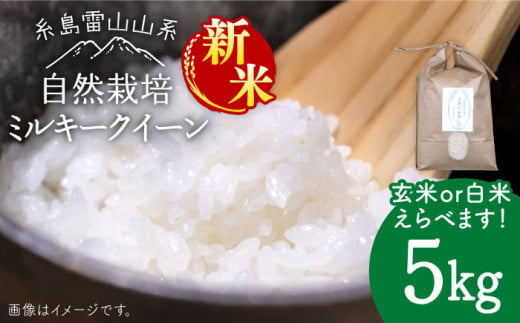 【新米受付中】令和6年産 糸島産 ミルキークイーン 5kg 自然栽培 【2024年10月下旬以降順次発送】《糸島》【大石ファーム】 [ATE014]