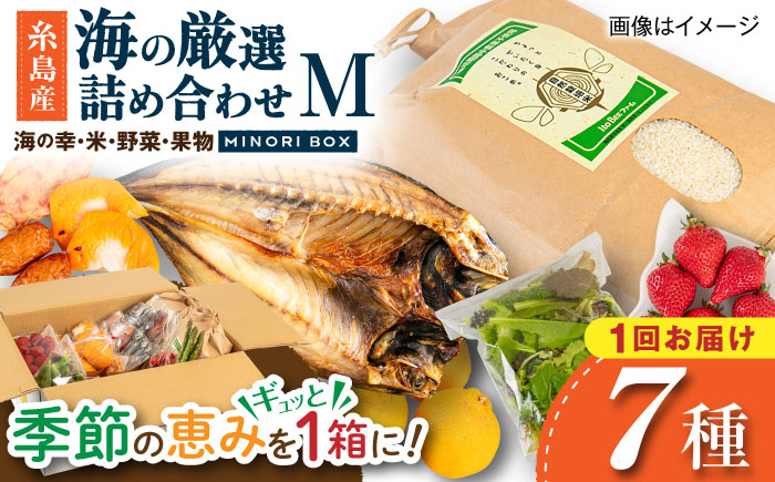 糸島産 魚 米 野菜 果物 厳選詰め合わせ MINORI BOX Mサイズ 糸島市 / emma.Inc / 米 魚 野菜 果物 詰め合わせ [AOP023]