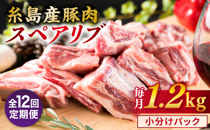 【全12回定期便】【 バーベキュー / 煮込み用 】 約1.2kg 糸島産豚肉 スペアリブ 糸島市 / 糸島ミートデリ工房 [ACA331]