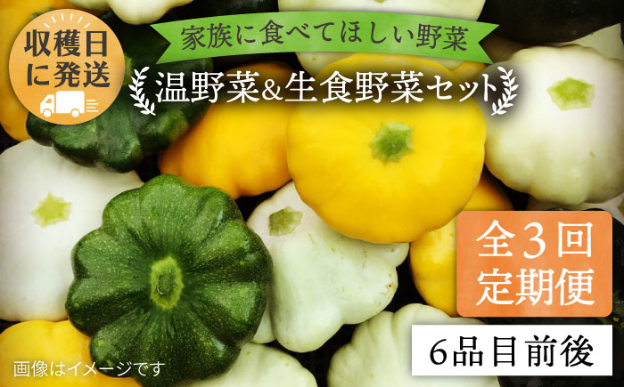 【 全3回 定期便 】 朝採れ 温野菜＆生食野菜セット （ 6品 前後 ） 《糸島》【オーガニックナガミツファーム】  [AGE019]