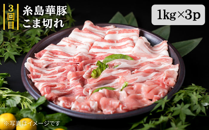 【全7回定期便】ボリューム満点！ お肉 福岡 糸島産 牛肉 / 豚肉 / 鶏肉 《糸島》 【糸島ミートデリ工房】  [ACA086]  黒毛和牛 博多華味鶏 糸島華豚 ランキング 上位 人気 おすすめ 定期便 博多 華豚 地鶏 焼肉 BBQ すき焼き しゃぶしゃぶ 黒毛 和牛