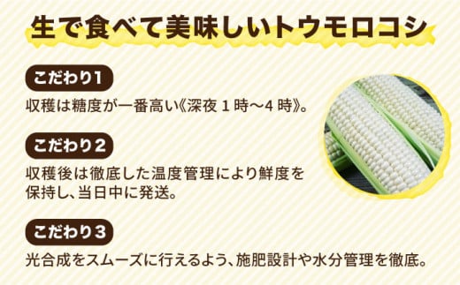 【 先行予約：2025年7月以降順次発送 】 糸島 トウモロコシ 『もきっこ』 白 （ 8～10本 ） 糸島市 / 内田農業 [AZH002]