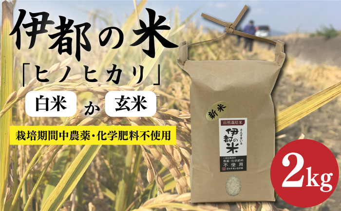 【令和6年産】伊都の米 （ ヒノヒカリ ） 2kg 糸島市 / 伊都福祉サービス協会 [APL001] 米 白米 玄米