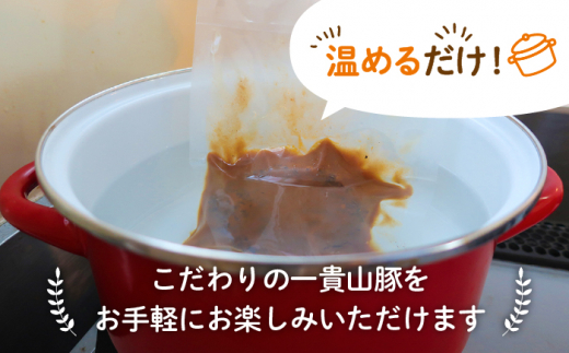 【全12回定期便】一貴山豚 とんバーグ 12個（ 6個 × 2種 ） 糸島市 / いきさん牧場 [AGB015]