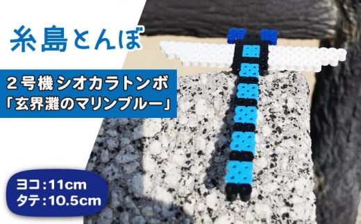 二号機 ： 玄界灘 の マリンブルー シオカラトンボ 《糸島》【糸島とんぼ】 [APK003]