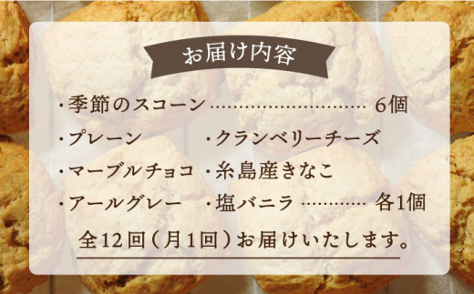 【全12回定期便】定番 ＆ 季節 の スコーン 12個セット  糸島市 / スコーン専門店キナフク 焼き菓子 焼菓子 洋菓子 スイーツ パン [AFA017]