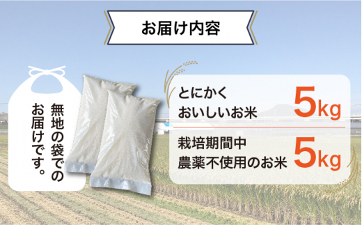 糸島産 ヒノヒカリ 食べ比べ2種セット 5kg×2 糸島市 / シーブ 米 お米 こめ [AHC065]