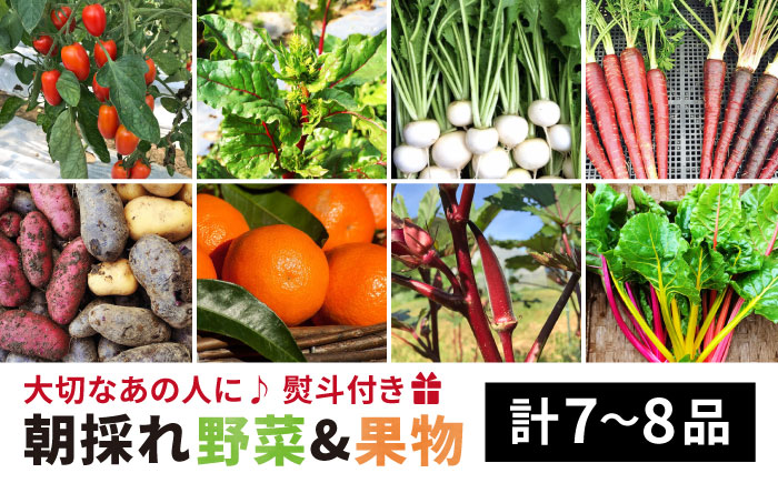 【贈答用】無農薬野菜セット＋果物（8品前後）《糸島》【オーガニックナガミツファーム】  [AGE022]