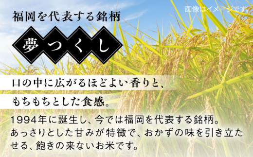 【こだわり精米】令和5年 糸島産 夢つくし 20kg(5kg×4) 糸島市 / RCF 米 お米マイスター [AVM009] 米 こめ コメ 白米 夢つくし ごはん 飯