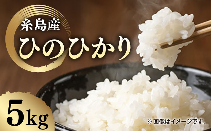 ＼令和6年産／糸島産 ひのひかり 5kg 糸島市 / 糸島ファーム青空 [ASM003] 白米 ヒノヒカリ