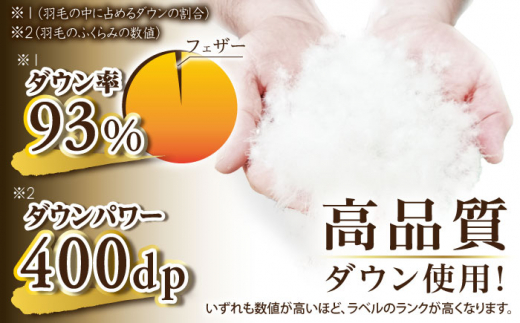 ＼この冬届く！／【訳あり】【 糸島 羽毛 ふとん 】羽毛 布団 柄おまかせ ダウン93％【ダブル】 糸島市 / 株式会社三樹 [AYM009]