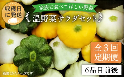 【 全3回 定期便 】 朝採れ 温野菜 サラダ セット （ 6品 前後 ） 《糸島》【オーガニックナガミツファーム】 [AGE019]