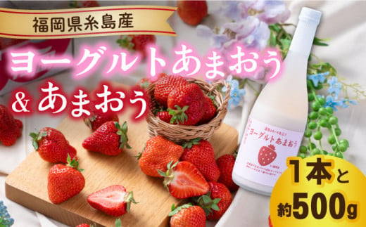 【先行予約】【春】ヨーグルトあまおう720ml ×あまおう 約250g×2パック  【2025年2月上旬以降順次発送】  糸島市 / 南国フルーツ株式会社 [AIK015]