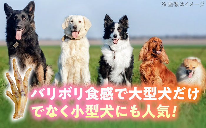 わんこのおやつ（犬）無添加手づくり 鶏のお手手（モミジ）ジャーキー5袋 糸島市 / mogmog factory [AXO003]