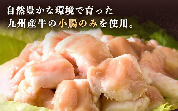 【全12回定期便】国産 ・ 完全 無添加 もつ鍋 セット ( 約 2人前 ) 白みそ味 糸島市 / 博多 浜や [AFF007]