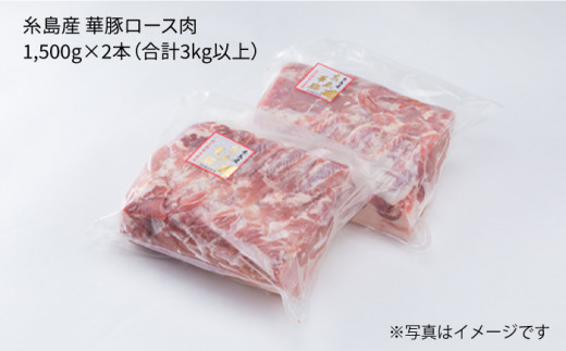 糸島産 華豚 ロース肉 ブロック 3kg 以上 《糸島》 【糸島ミートデリ工房】 [ACA105]