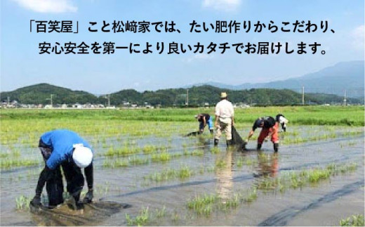 【令和6年産新米】【 栽培期間中農薬不使用 】米 旋風 ミルキークイーン 10kg（ 5kg×2 ） 糸島市 / 百笑屋 [ABF002]