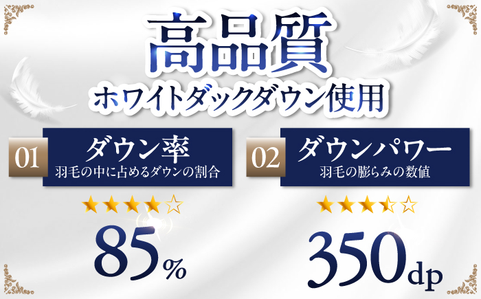 【訳あり】【 糸島 羽毛 ふとん 】羽毛 布団 柄おまかせ ダウン85％【ダブル】糸島市 / 株式会社三樹  [AYM005] 本掛け 羽毛布団 羽毛 布団 ふとん 掛け布団 掛けふとん ダブル 訳あり おまかせ 日本製
