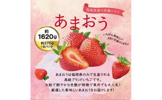 あまおう いちご 1,620g (約270g×6パック) 【先行予約・2025年3月初旬より順次発送】 糸島市 / 株式会社HSP-テクノ [AZL002]