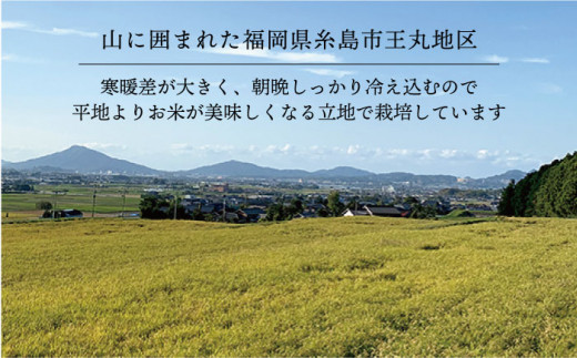 【全3回定期便】 糸島産 夢つくし 5kg × 3回（月1回）糸島市 / 糸島王丸農園 ( 谷口汰一 )【いとしまごころ】[AAZ002]