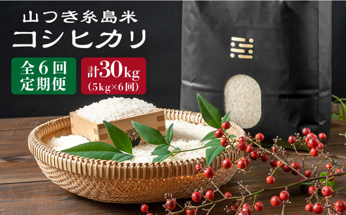 【全6回定期便】糸島で農薬を使わずに育てた山つき 糸島 米 5kg（コシヒカリ） 糸島市 / 株式会社やました [ARJ016]