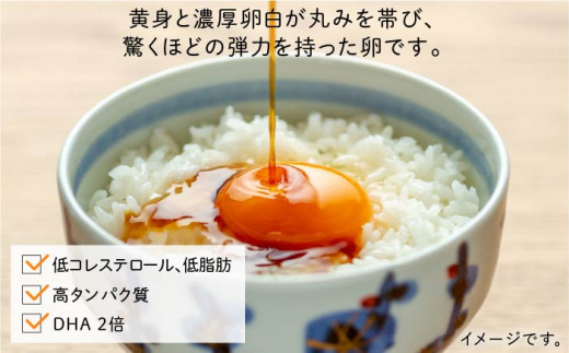 【全12回定期便】 こだわりの卵 「 天上卵 」 40個 セット 糸島市 / 株式会社おおはまファーム [AKH008]