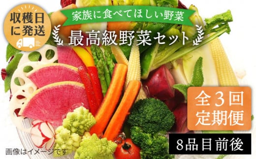 【 全3回 定期便 】【 農薬・化学肥料 不使用 】こだわり 野菜 セット （ 8品前後 ） 《糸島》【オーガニックナガミツファーム】 [AGE016]