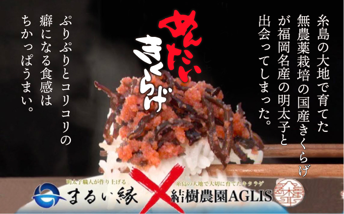 【全3回定期便】結樹農園 アグリス めんたい きくらげ 300g×3P 《糸島》【結樹農園アグリス】 [AAJ008]