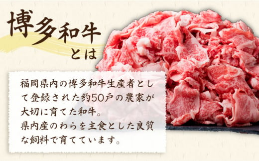 【全6回定期便】A4～A5ランク 博多和牛 切り落とし 1kg （250g×4P） 切り落し《糸島》【糸島ミートデリ工房】 [ACA190]