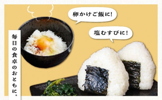 【2024年11月以降順次発送】【全3回定期便】糸島産 ひのひかり 5kg×3回 糸島市 / 三島商店 [AIM008]