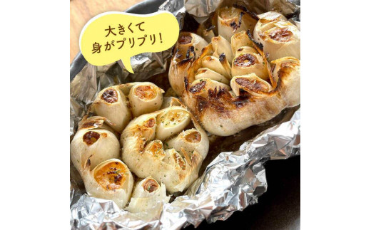 にんにく 500g 数量限定 糸島市 / 爽風農園 / いとしまごころ [AHZ001]