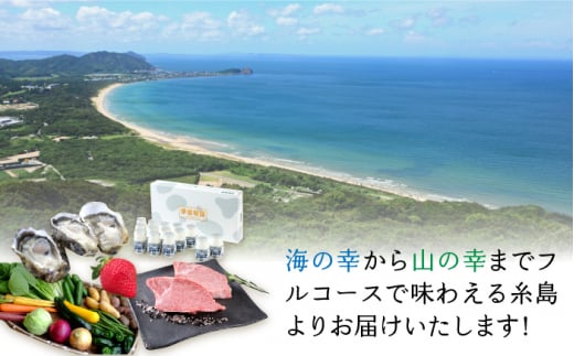 【 糸島 コンシェルジュ 】 返礼品 おまかせ ！ 寄附額 100万円 コース [AZZ002] 後から選べる あとからギフト あとからセレクト