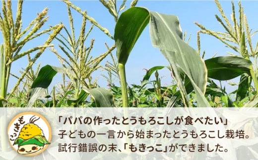 【 先行予約：2025年7月以降順次発送 】 糸島 トウモロコシ 『もきっこ』 白 （ 8～10本 ） 糸島市 / 内田農業 [AZH002]