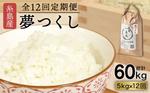 【全12回 定期便】 糸島産 夢つくし 5kg × 12回（月1回）　糸島市 / 糸島王丸農園 ( 谷口汰一 )【いとしまごころ】[AAZ004]