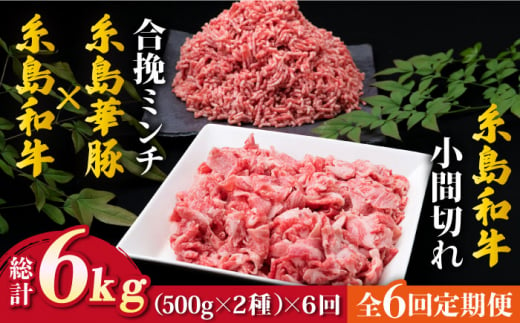 【全6回定期便】糸島和牛 小間切れ 500g ＆ 糸島和牛 糸島豚 合挽ミンチ 500g 合計1kg《糸島》【糸島ミートデリ工房】 [ACA238]