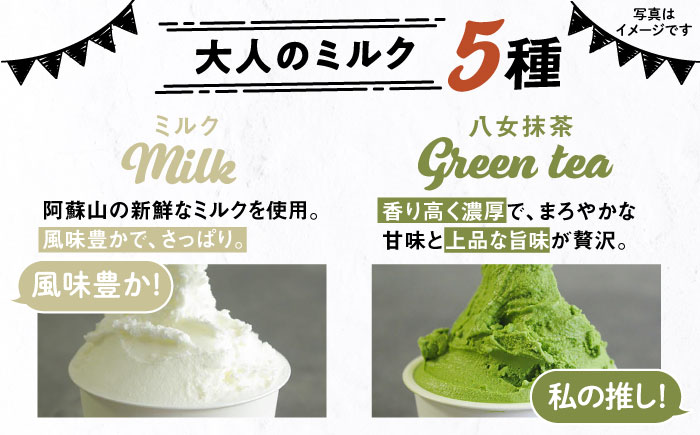 【全6回定期便】糸島で行列のできる アイスクリーム 屋 ジェラート カップ 10個 セット！ 大人の味 5種類 × 各2個 ( ミルク , 抹茶 , ほうじ茶 , カフェオレ , ブルーベリーヨーグルト ) 糸島市 / LoiterMarket ロイターマーケット アイスクリーム [AGD021]