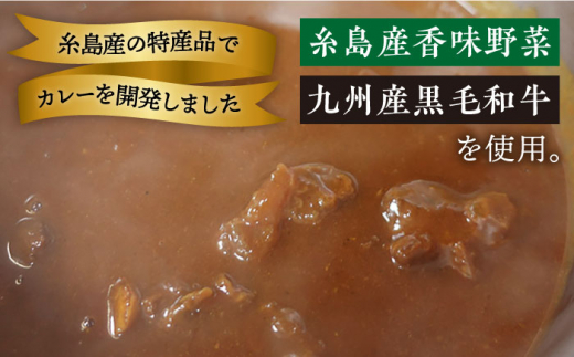 銀座の老舗洋食屋「ドンピエール」の天才シェフがつくる、黒毛和牛の欧風カレー200g×2パック（2人前） 糸島市 / Perignon [AMJ003]