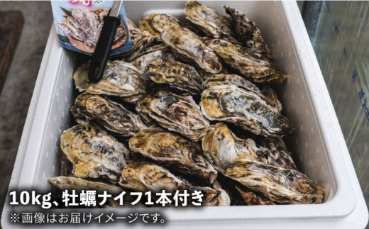 一粒牡蠣 カキ 10kg (牡蠣ナイフ付き) 糸島産 福吉 糸島市 / 伸栄丸 カキの佐々木 牡蠣 生カキ 生食用 殻付き カキ 生牡蛎 生食可 [ATH004]